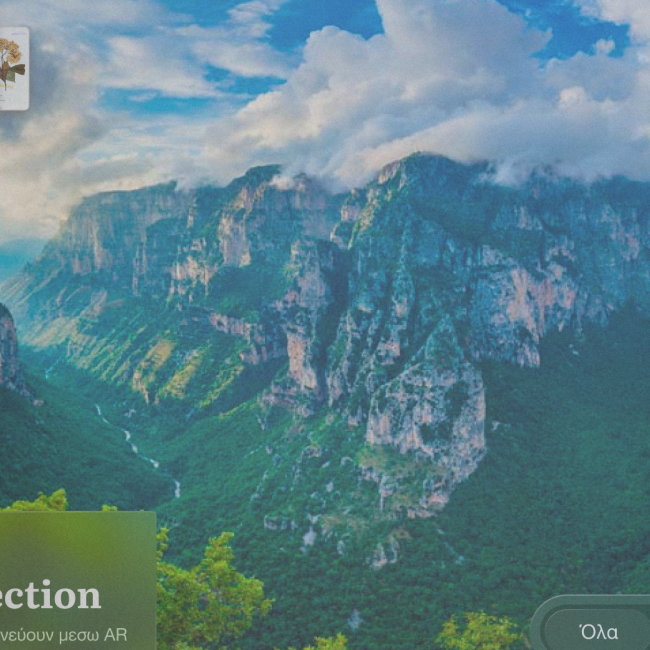 Βοτανική Συλλογή